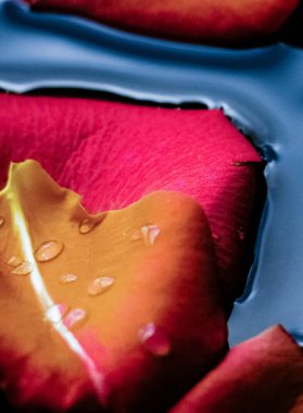 çiçek yaprakları - düğün, tatil ve çiçek arka plan sanat kavramı, zarif görsel tarz