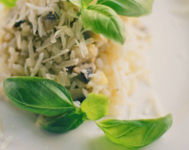 Avrupa ve Akdeniz yemekleri kavramı - mantarlı risotto tarifi, zarif görsel tarz