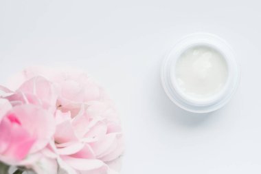 güzellik kremi kavanoz ve gül yaprakları - kozmetik çiçekli kavramı, zarif görsel tarz