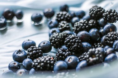 bluberries ve böğürtlen - taze meyve ve sağlıklı beslenme tasarımlı kavram, zarif görseller