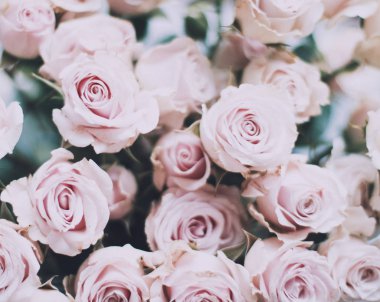 gül çiçek buketi - düğün, tatil ve çiçek Bahçe tasarımlı kavram, zarif görseller