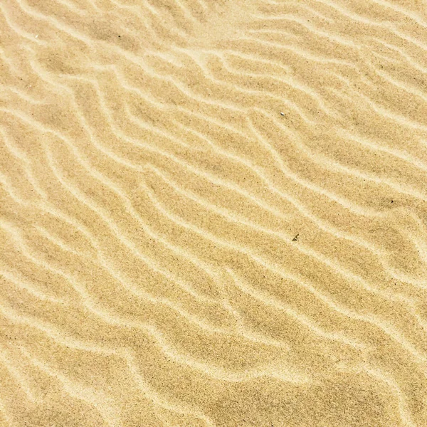 Beach Sand Travel Seascape Vacation Summer Holidays Concept Elegant Visuals — Stock Photo, Image