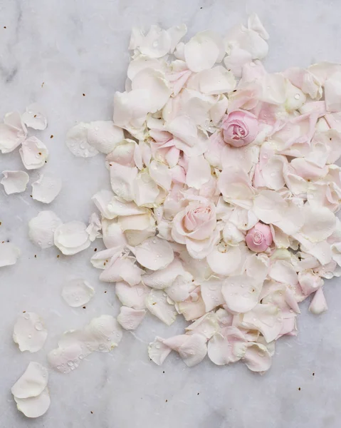 gül çiçek yaprakları üzerinde mermer - düğün, tatil ve çiçek Bahçe tasarımlı kavram, zarif görseller