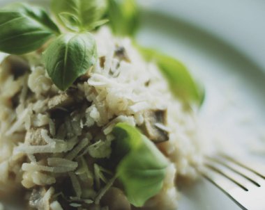 Avrupa ve Akdeniz yemekleri kavramı - mantarlı risotto tarifi, zarif görsel tarz