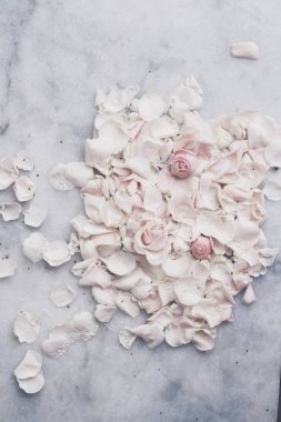 gül çiçek yaprakları üzerinde mermer - düğün, tatil ve çiçek Bahçe tasarımlı kavram, zarif görseller