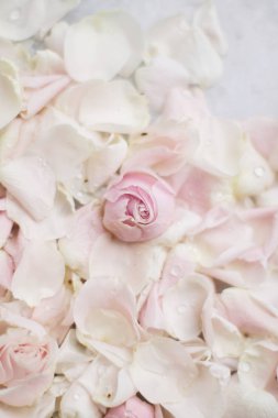 gül çiçek yaprakları üzerinde mermer - düğün, tatil ve çiçek Bahçe tasarımlı kavram, zarif görseller