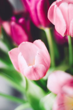 lale buketi - düğün, tatil ve çiçek bahçesi kavramı, zarif görsel tarz