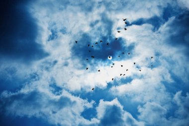 gökyüzü ve bulutlar - çevre, Doğa arka plan, hava ve meteoroloji genel kavram, zarif görseller