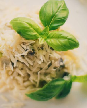 Avrupa ve Akdeniz yemekleri kavramı - mantarlı risotto tarifi, zarif görsel tarz