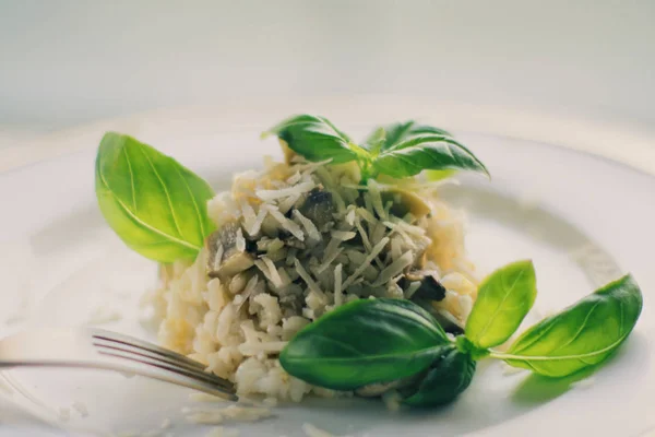 Avrupa Akdeniz Yemekleri Kavramı Mantarlı Risotto Tarifi Zarif Görsel Tarz — Stok fotoğraf