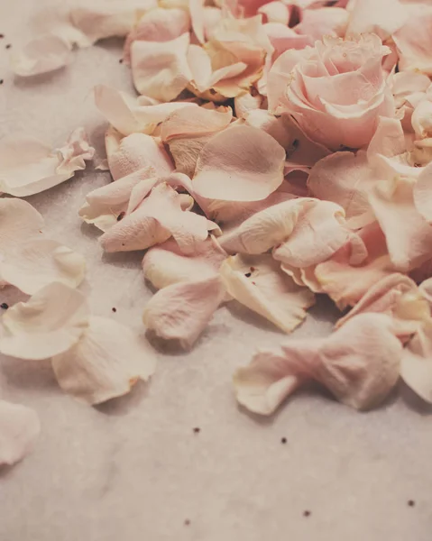 Лепестки Роз Мраморе Свадебные Праздничные Цветочные Садовые Концепции Элегантные Визуальные — стоковое фото