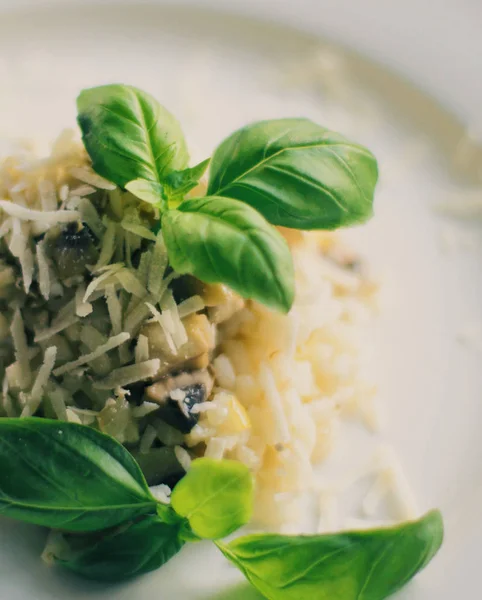 Avrupa Akdeniz Yemekleri Kavramı Mantarlı Risotto Tarifi Zarif Görsel Tarz — Stok fotoğraf