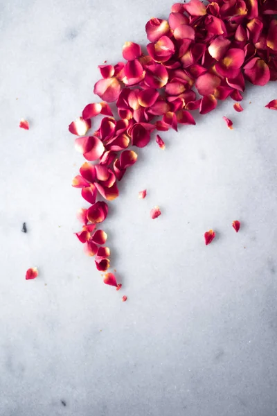 Pétales Rose Sur Marbre Flatlay Mariage Vacances Fond Floral Concept — Photo