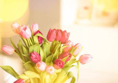 tulips in sunlight - floral, spring holidays and birthday gift styled concept