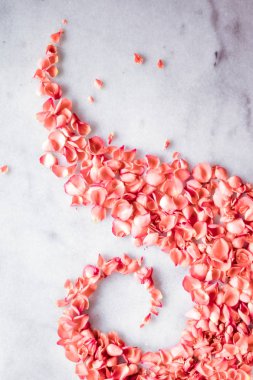 coral rose petals on marble, color of the year - flower backgrounds and holidays styled concept