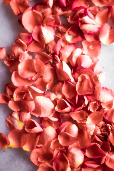 Pétales Rose Corail Sur Marbre Couleur Année Milieux Floraux Vacances — Photo