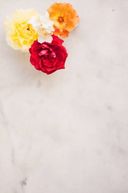 Güzel çiçek flatlay kompozisyon - düğün dekorasyonu, çiçekçi tasarlanmış ve mükemmel Bahçe konsepti. Aşk çiçekleri