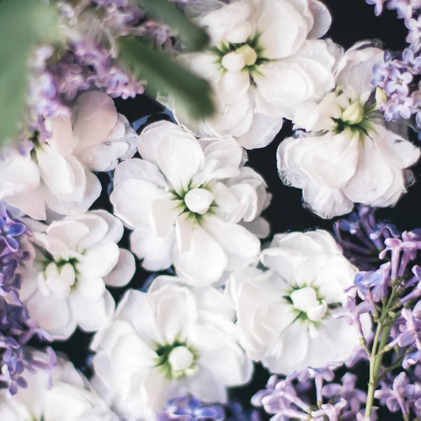 Досить Квіти Навесні Ботанічний Фон Весняна Літня Природа Концепція Саду — стокове фото