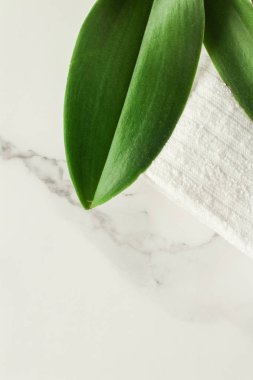 Yeşil mermer, flatlay - yaprağına lüks tasarım arka plan, sürdürülebilir ürünler ve çevre kavramı. Çevre dostu yaşam biçimi