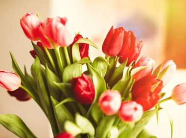 Günün çiçekler ile aydınlatmak