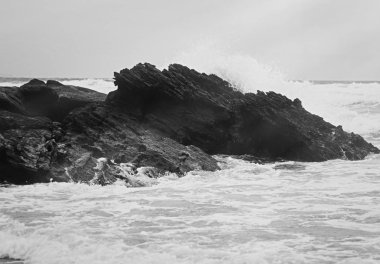 Atlantik Okyanusu kıyısında sahne, Güzel Sanatlar