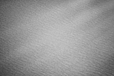 Atlantik Okyanusu kıyısında sahne, Güzel Sanatlar