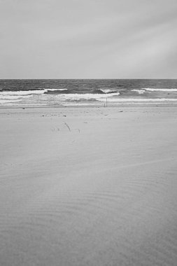 Atlantik Okyanusu kıyısında sahne, Güzel Sanatlar