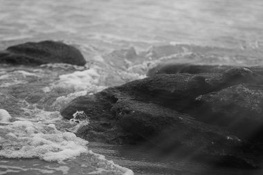 Atlantik Okyanusu kıyısında sahne, Güzel Sanatlar