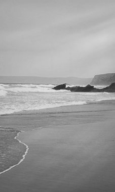 Atlantik Okyanusu kıyısında sahne, Güzel Sanatlar