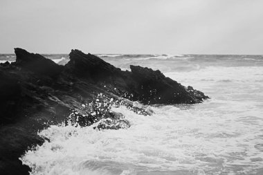 Atlantik Okyanusu kıyısında sahne, Güzel Sanatlar