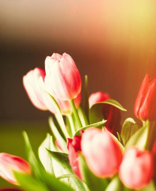 Günün çiçekler ile aydınlatmak