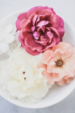 Vintage gül mermer üzerinde