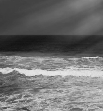 Atlantik Okyanusu kıyısında sahne, Güzel Sanatlar