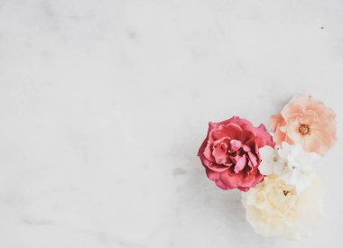 Vintage gül mermer üzerinde