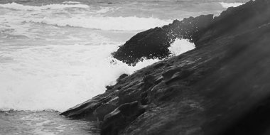 Atlantik Okyanusu kıyısında sahne, Güzel Sanatlar