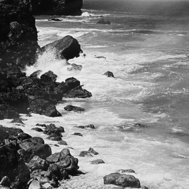 Atlantik Okyanusu kıyısında sahne, Güzel Sanatlar