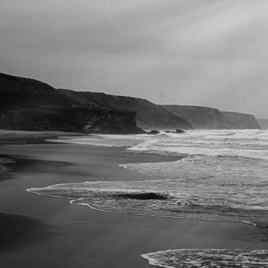 Atlantik Okyanusu kıyısında sahne, Güzel Sanatlar