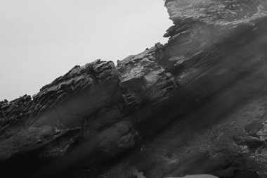 Atlantik Okyanusu kıyısında sahne, Güzel Sanatlar