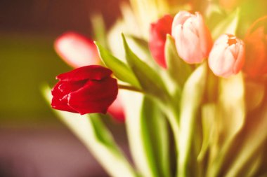 Günün çiçekler ile aydınlatmak