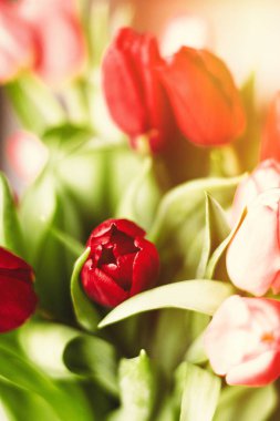 Günün çiçekler ile aydınlatmak