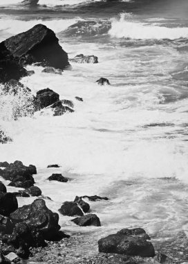 Atlantik Okyanusu kıyısında sahne, Güzel Sanatlar