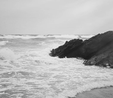 Atlantik Okyanusu kıyısında sahne, Güzel Sanatlar