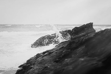 Atlantik Okyanusu kıyısında sahne, Güzel Sanatlar