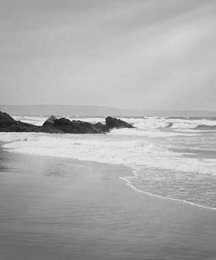 Atlantik Okyanusu kıyısında sahne, Güzel Sanatlar