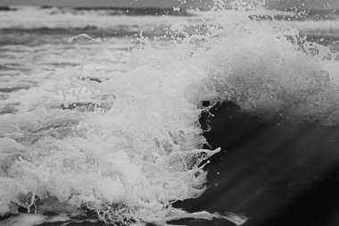 Atlantik Okyanusu kıyısında sahne, Güzel Sanatlar