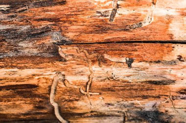 Ahşap desenli arka plan