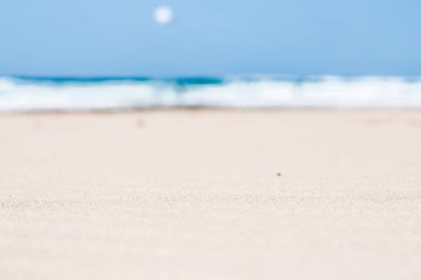 Okyanus manzarası, mükemmel seyahat ve tatil yeri.