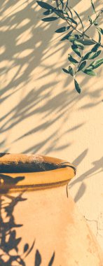 Yunanistan 'da Zeytin Bahçesi