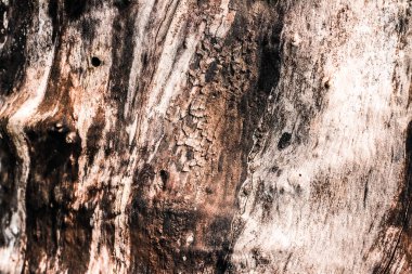 Ahşap desenli arka plan