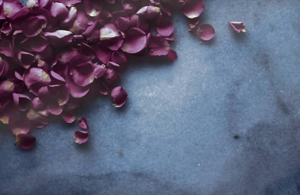 Petali di rosa su pietra di marmo, sfondo floreale — Foto Stock
